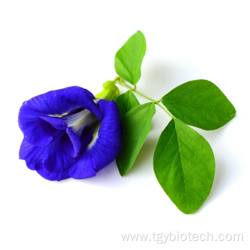 100% Natural Organic Butterfly Pea Flower Extract Powder